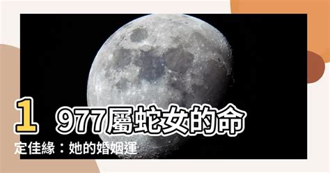 1977屬蛇幸運色2023|1977年属蛇男2023年幸运色